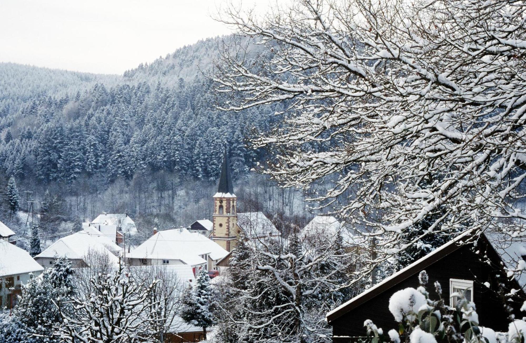 Hostellerie La Cheneaudière&Spa Colroy-la-Roche Extérieur photo